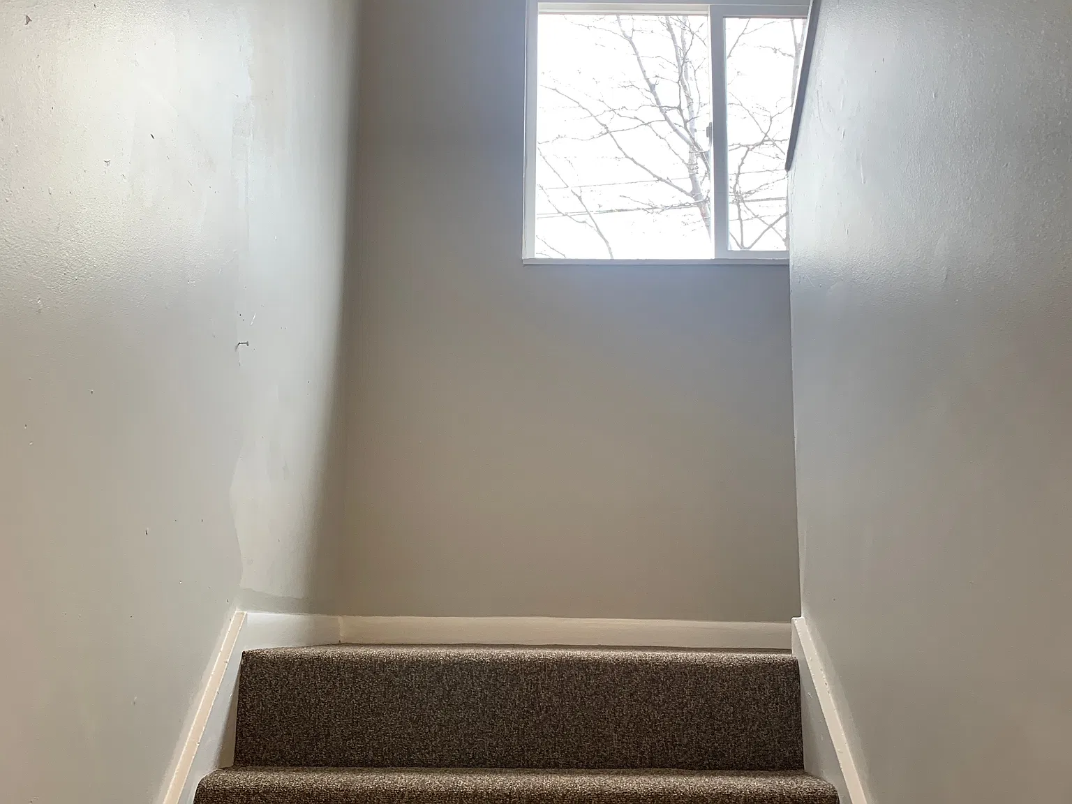 2 bed, 900 sqft, $1,545 — Photo 3