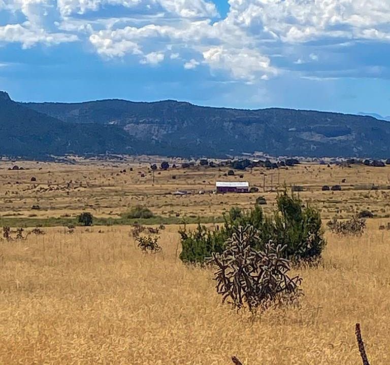 23906 ADAMS RD Trinidad CO Zillow