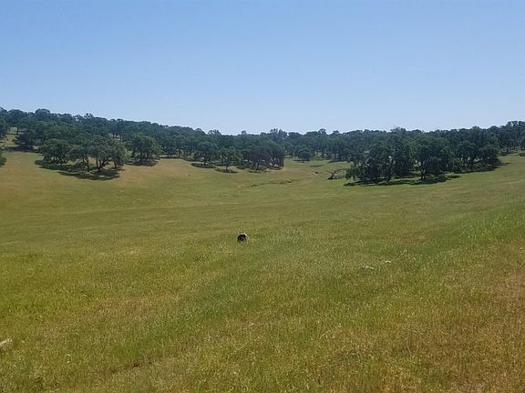 4th image of 24142 Perimeter Road