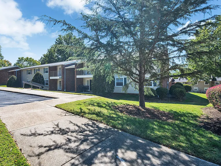 Willow Woods — Photo 10
