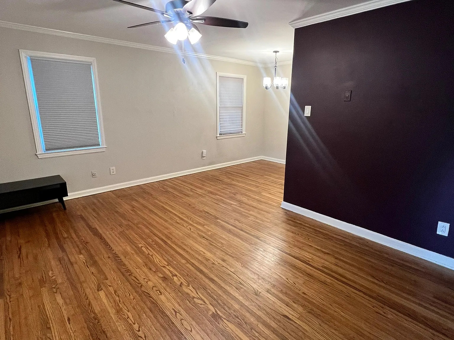 2 bed, 1000 sqft, $1,350 — Photo 3