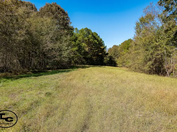0 Parham Rd, Dresden, TN 38225