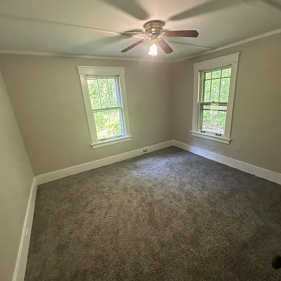 164 N Park St — Photo 5