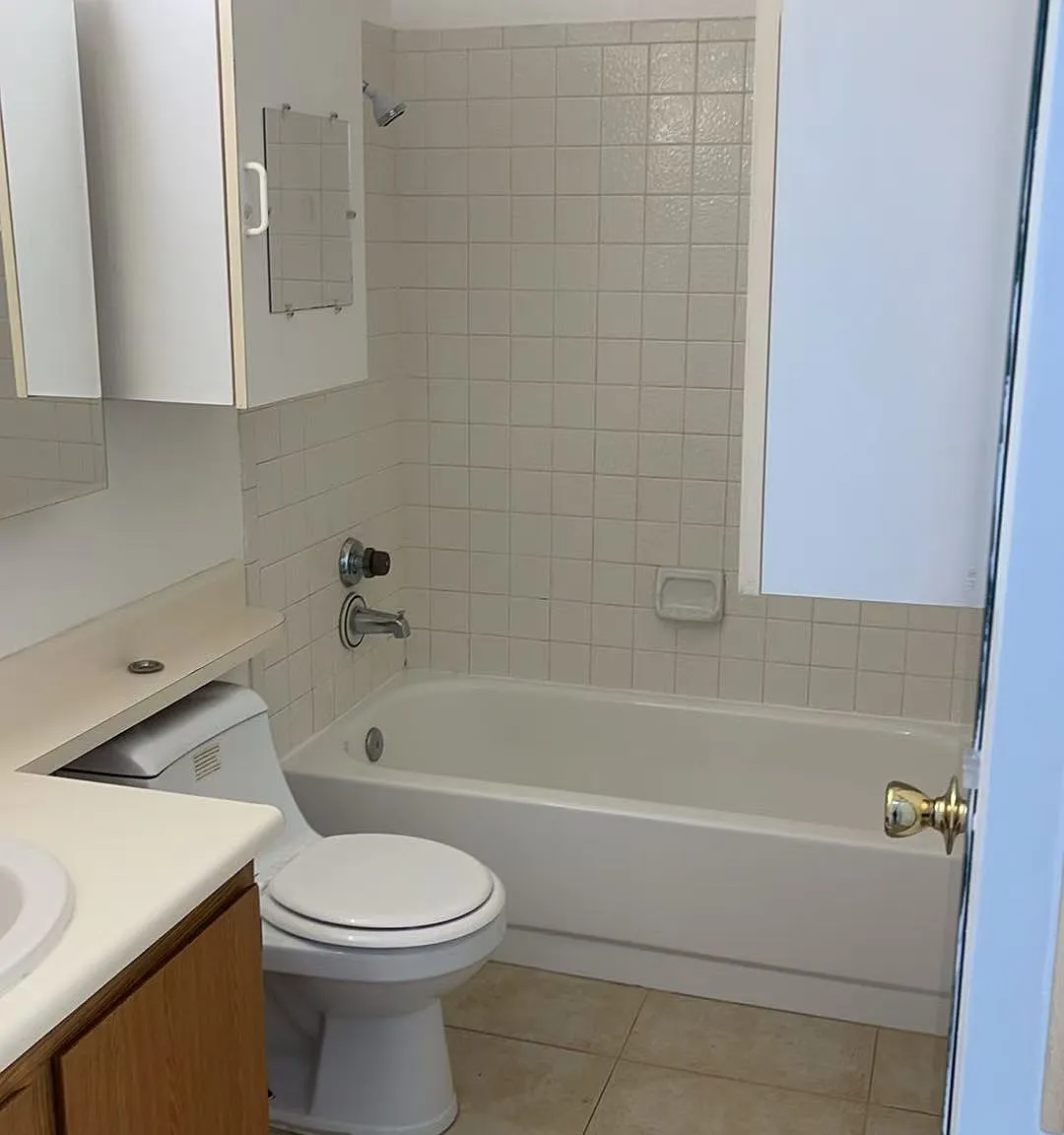1 bed, 462 sqft, $1,000 — Photo 4