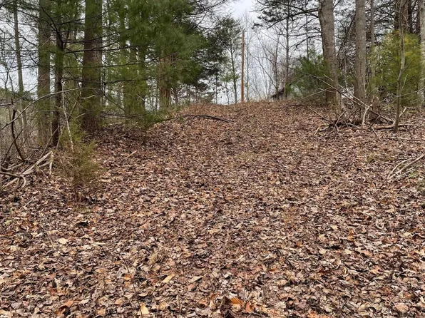 0 Bethlehem Rd, Boones Mill, VA 24065