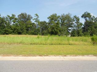 120 Olympus Ln LOT 5, Conway, SC 29526
