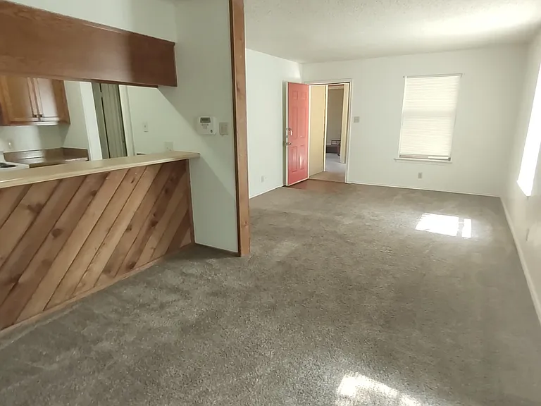 1121 N Locust St — Photo 8