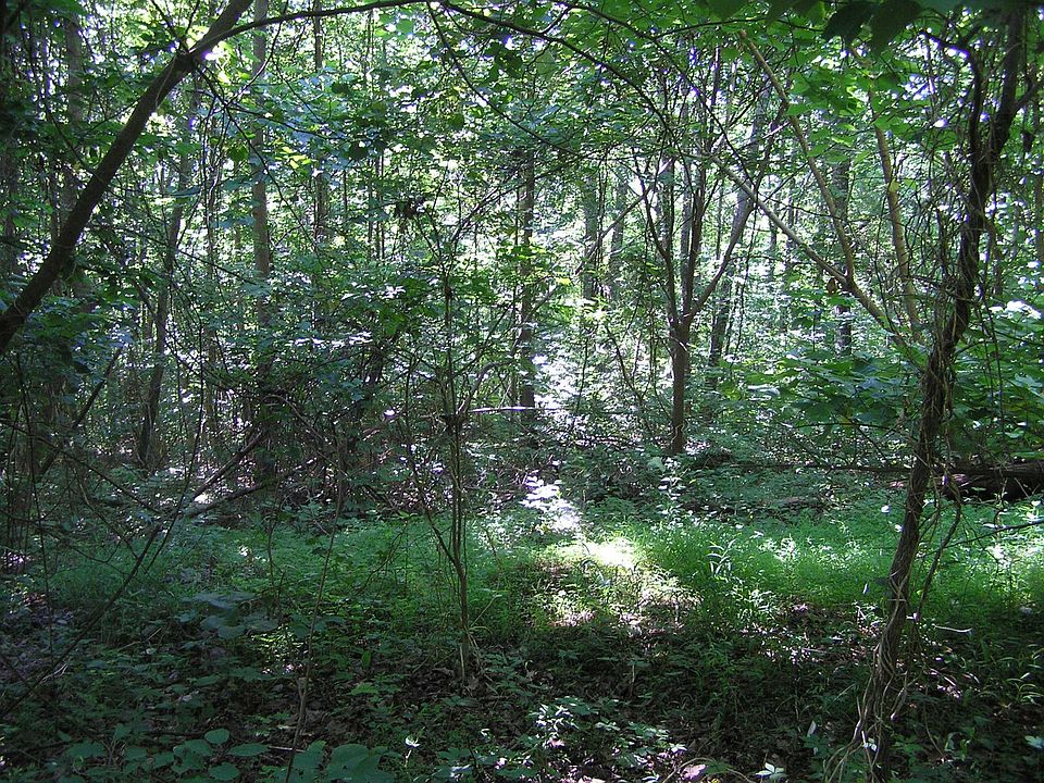 1st image of 1 Timber Ln Lot 1