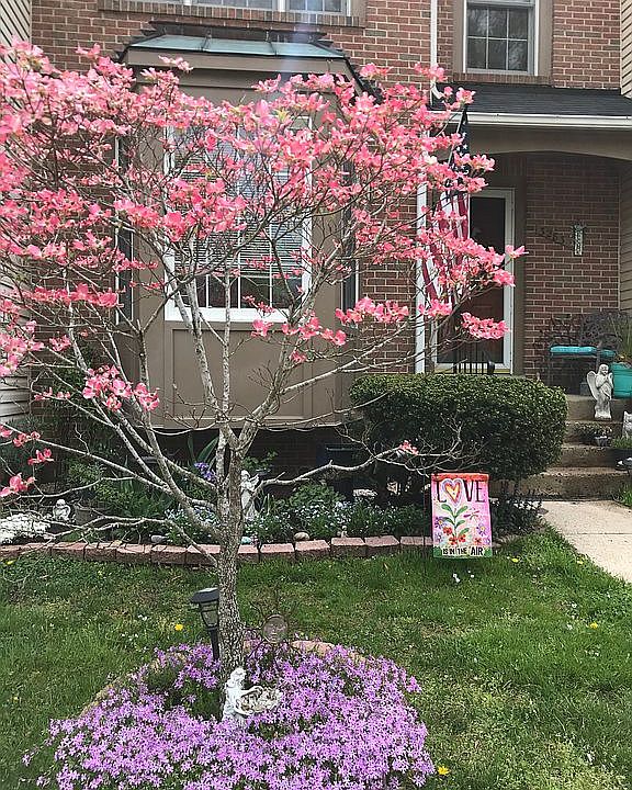 Front yard