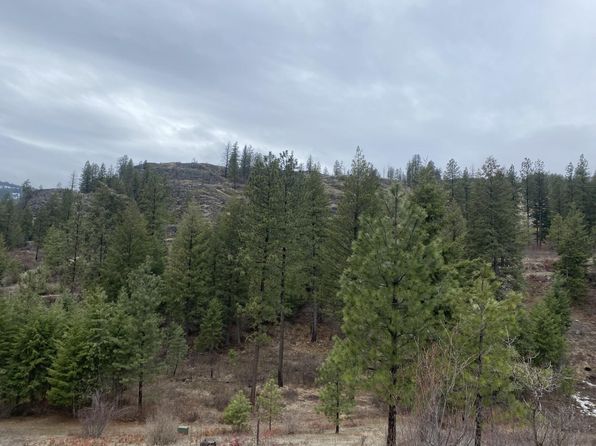 TRACT 2 Cowboys And Angels Ave, Kettle Falls, WA 99141