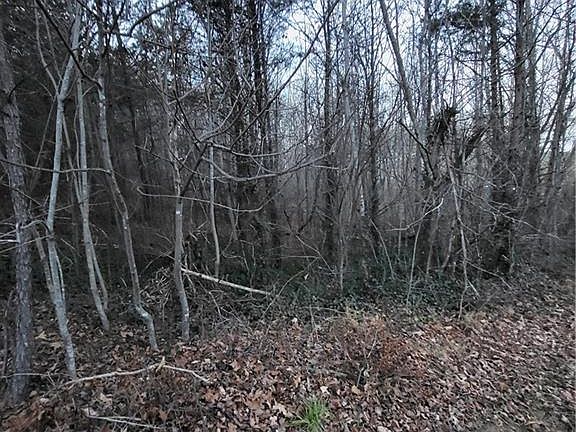 4th image of Swaim St