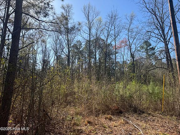 4th image of 0 Little Prong Rd NW Lot 2 & 3