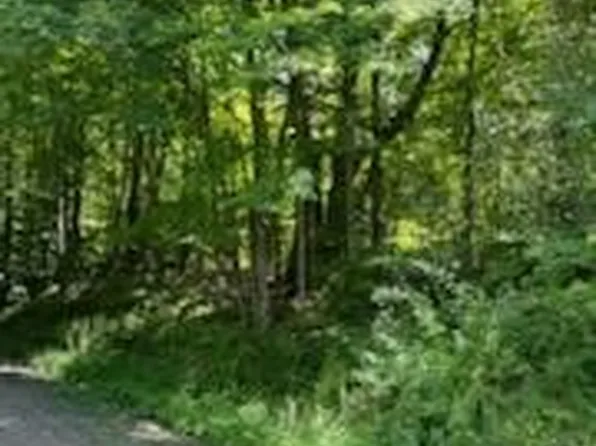 (undisclosed Address), Sidney Center, NY 13839