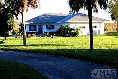 ..every evening you will get a visit from Fred & Alice, the Sandhill Cranes..