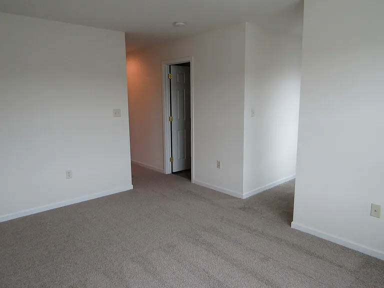 318 Mount Olive Ln — Photo 16