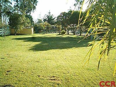 Side view of front yard