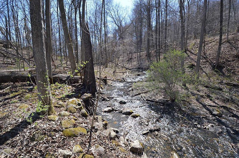 3rd image of LOT 7 HUGHES Road