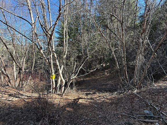 4th image of Coogan Creek Rd