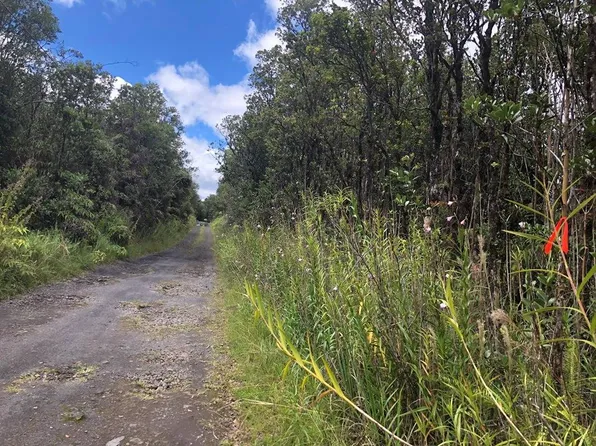 Pilo St Lot 50, Mountain View, HI 96771