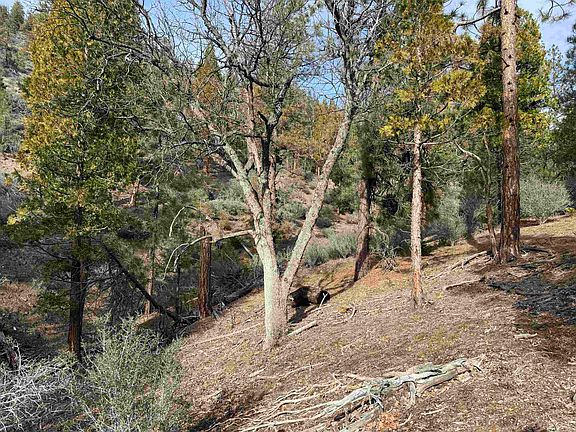 4th image of 0 Moffett Creek Rd