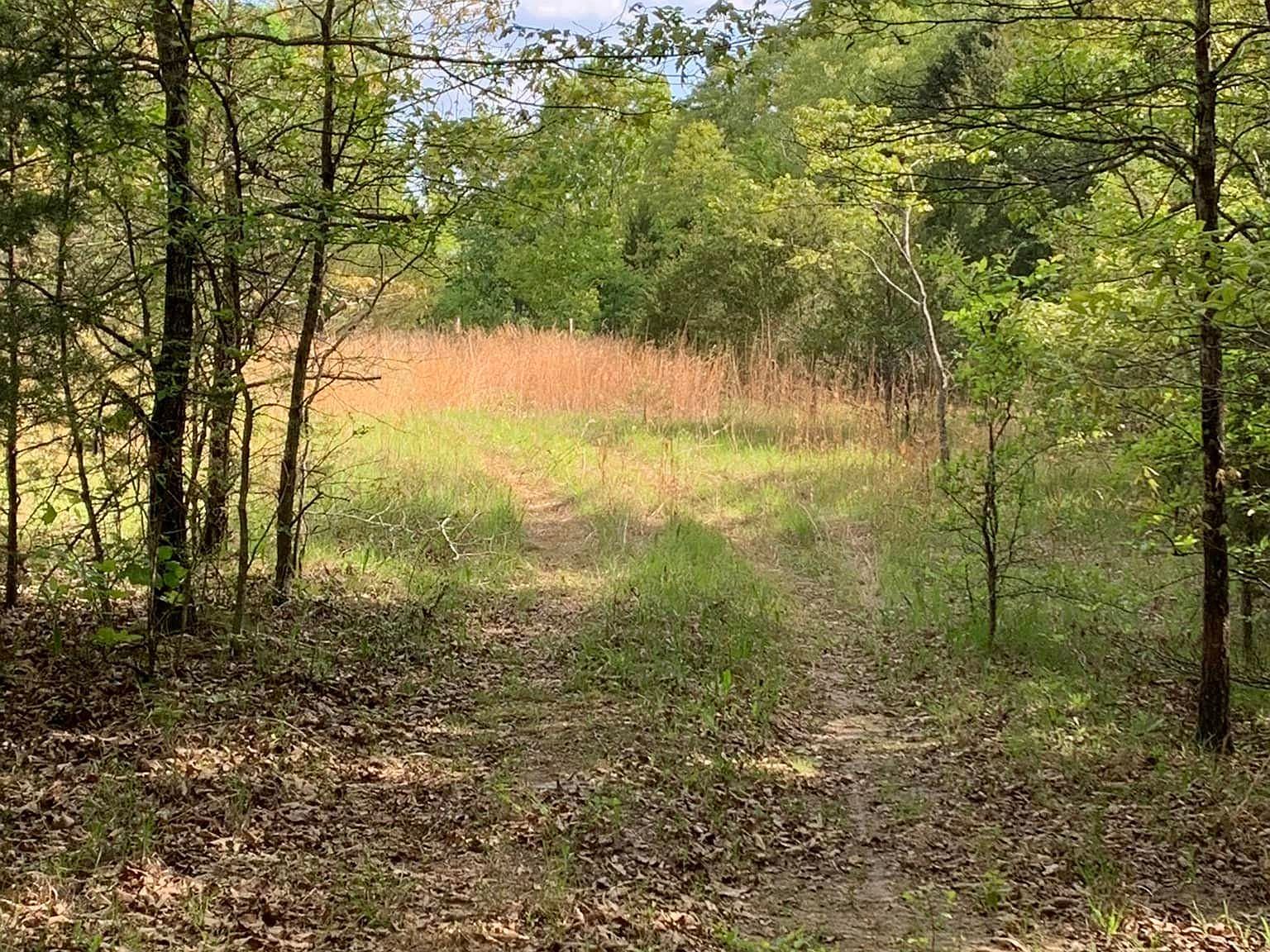 168 Law 100C, Ravenden, AR 72459 Zillow