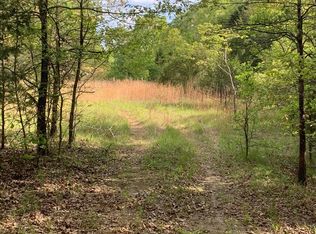 168 Law #100-C, Ravenden, AR 72459