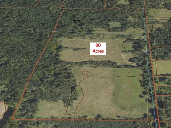 0 Haynes Rd, Stockbridge, MI 49285