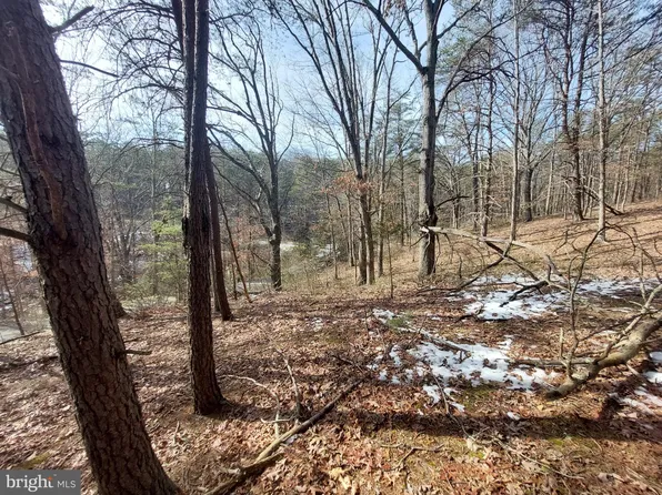 LOT 5 Deep Run Holw, Delray, WV 26714