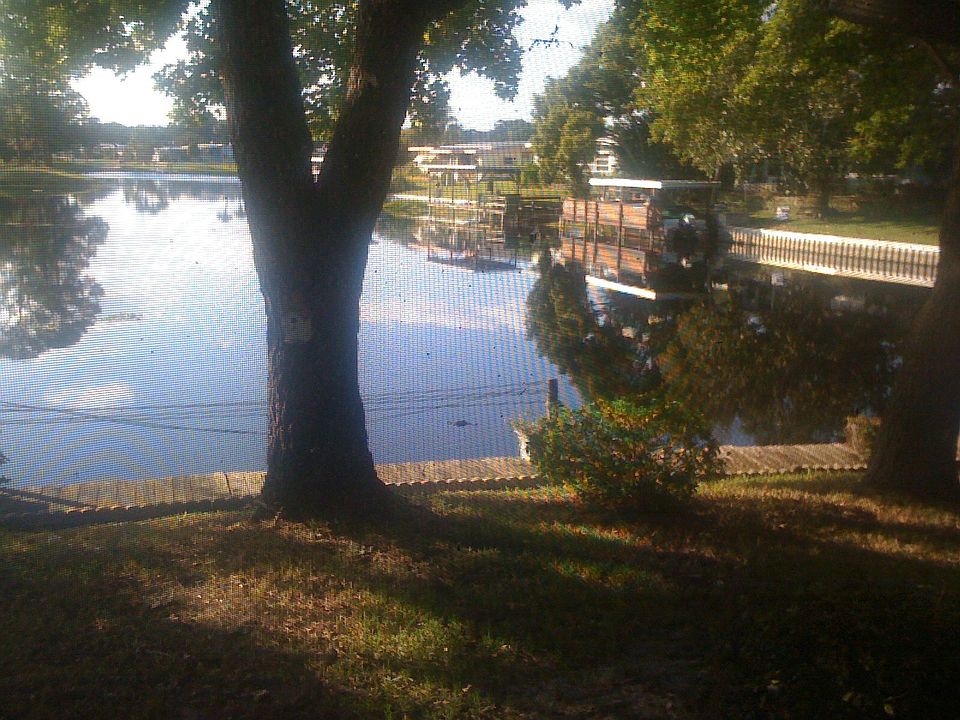Lagoon
