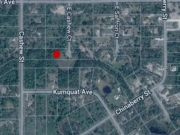 E Cashew Ct Lot 6, Eustis, FL 32736