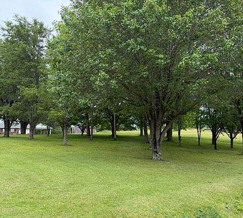 5th image of 1111 Browning Acres Rd Lot 9