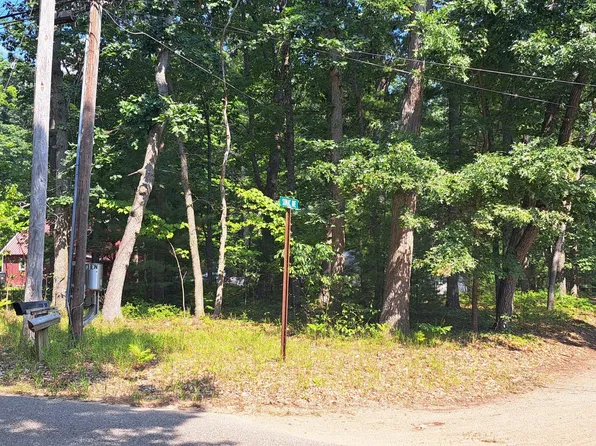 V/l L22 25 Sumac Ave, Roscommon, MI 48653