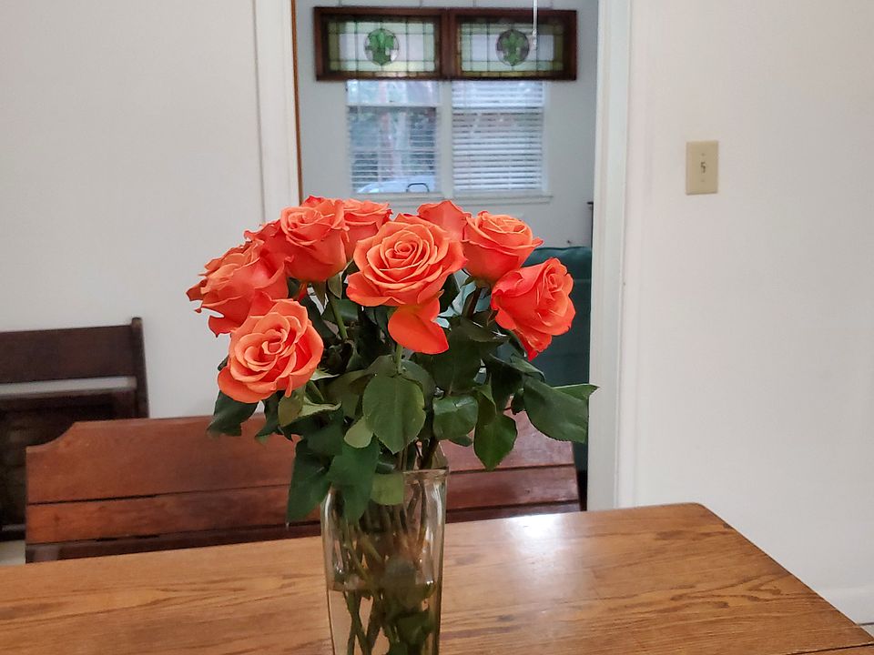 kitchen view facing front