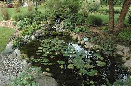 kent pond