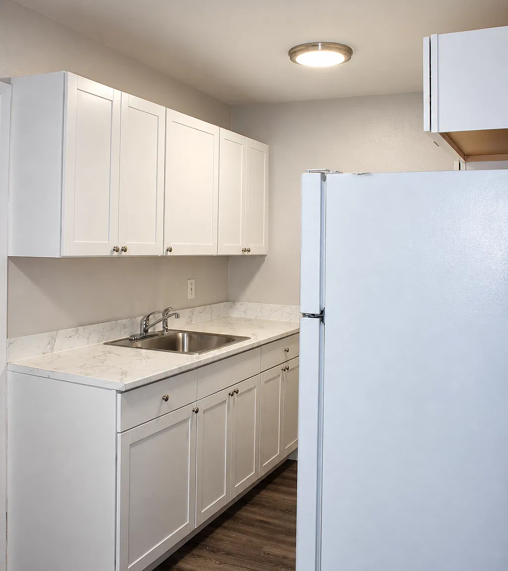 1 bed, 460 sqft, $1,500 — Photo 4