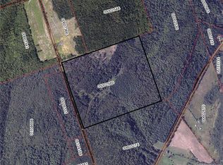 LOT S Gowland Mountain Rd, Elgin, NB E4Z1T1