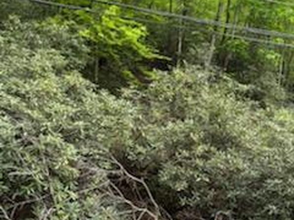 0 Butler Branch Rd, Gatlinburg, TN 37738