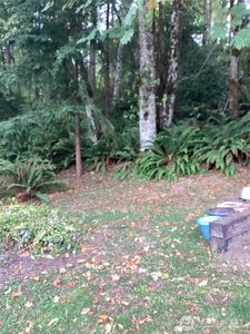 21 XX Bloomfield Road, Shelton, WA, 98584