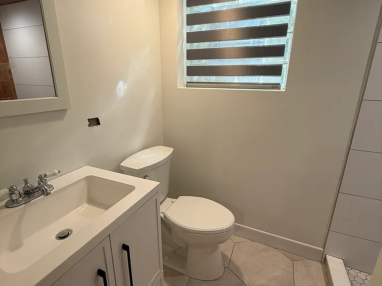 Lower level bathroom with shower