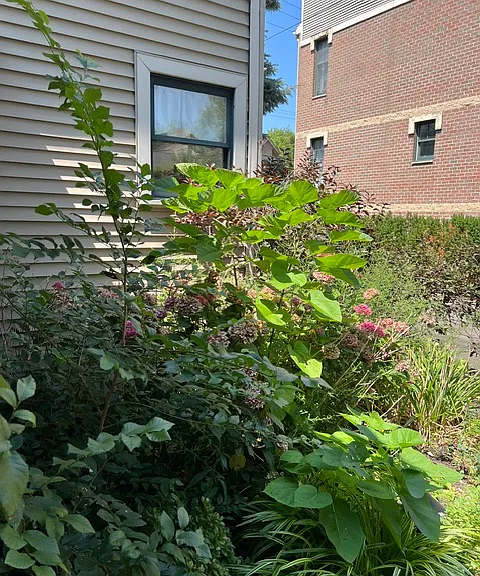 Fulton Rd — Photo 1