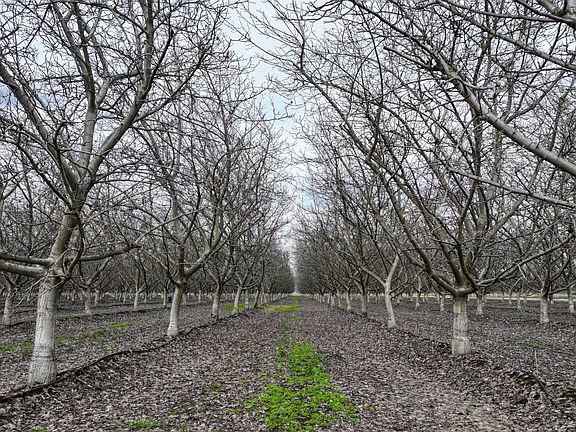 3rd image of 0 Unnamed Rd