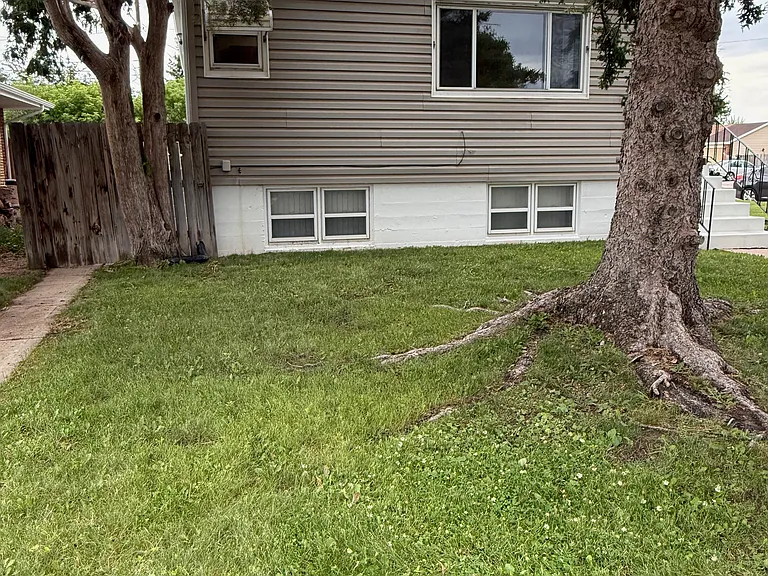 Front Of House/ Front Yard