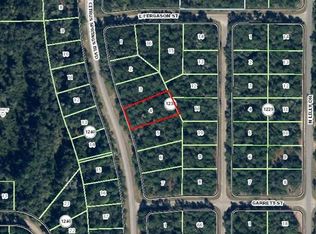 1724 E Citrus Springs Blvd, Citrus Springs, FL 34434