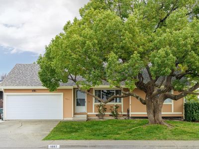 1097 Crinella Drive, Petaluma, CA, 94954