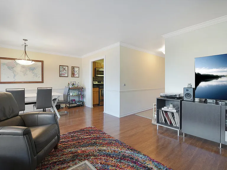 1555 N Sandburg Ter #201 — Photo 5