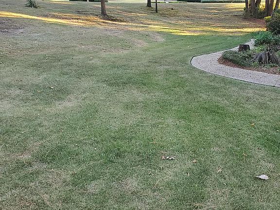 3rd image of 2404 Brookwood Cir