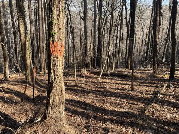 4238 Stratton Ln, Ooltewah, TN 37363