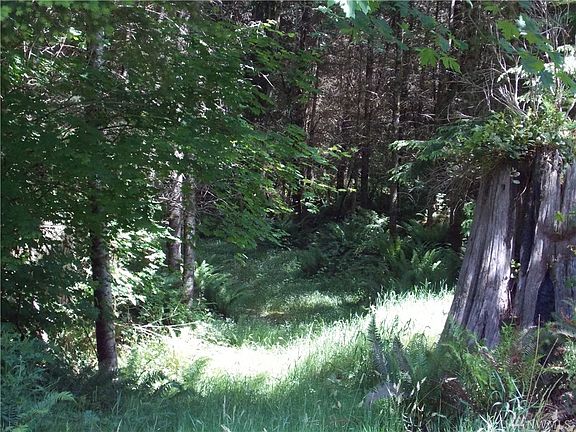 2nd image of 0 Thimbleberry Lot L