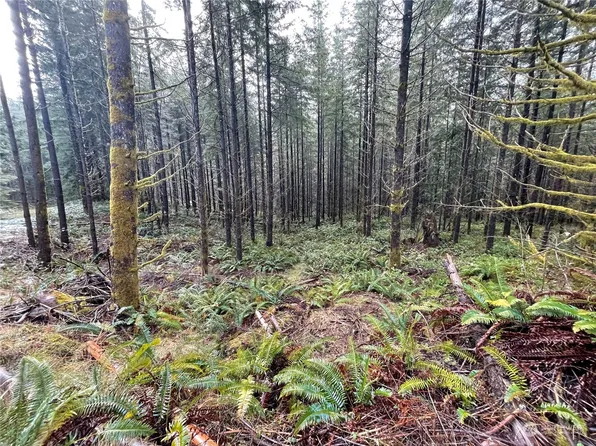 0 Lot D NE Westerholm Road, Brush Prairie, WA 98606