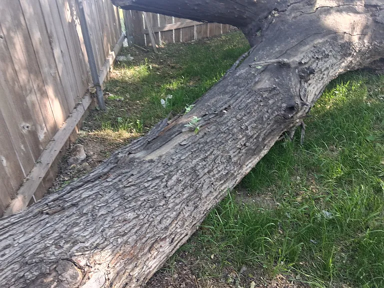 2507 S Canyon St — Photo 16